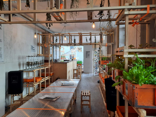 IGA Pop-Up Tea House von Innen mit Tischen, Sitzmöglichkeiten, Theke und Pflanzen