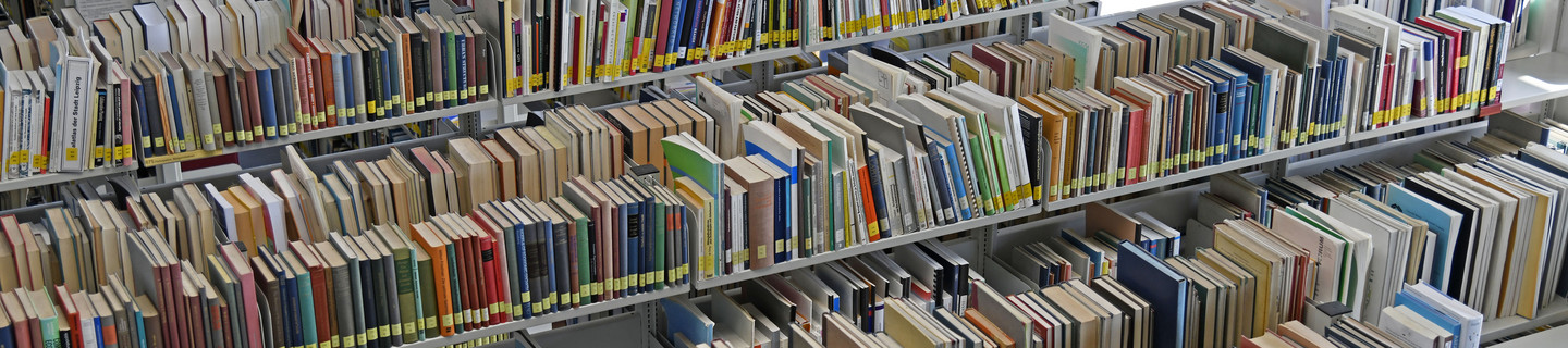 Bücherregale mit vielen Büchern in der Bereichsbibliothek Raumplanung