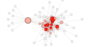 several circles that make a network